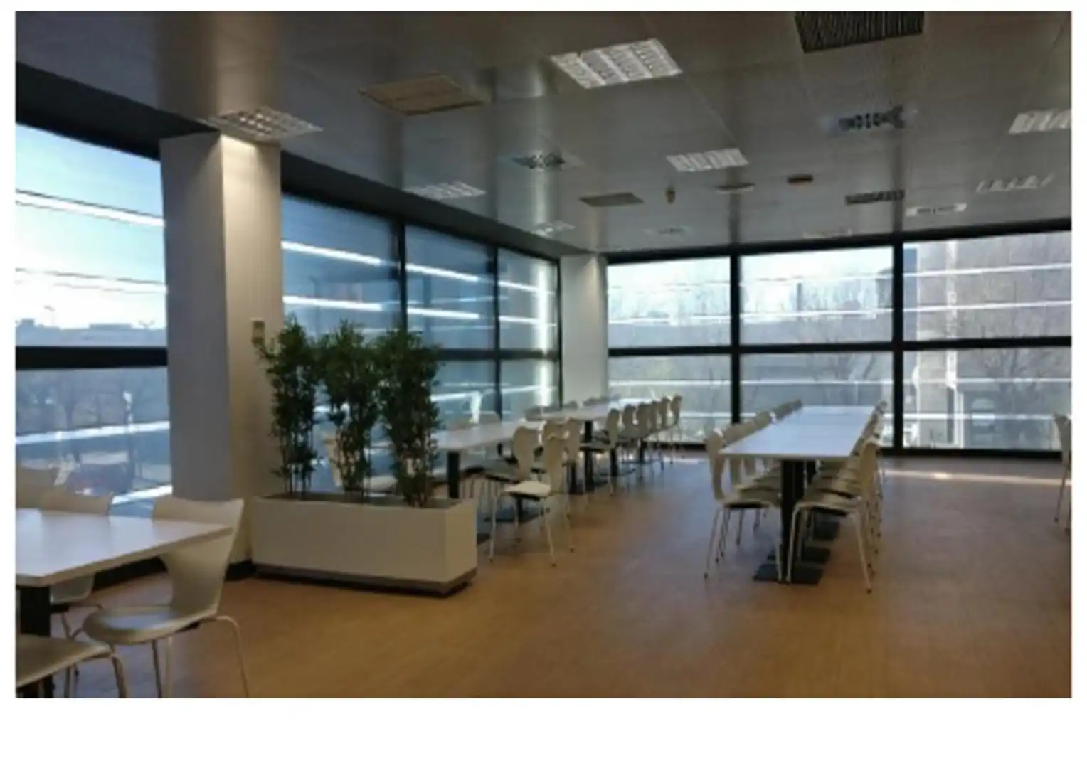 Oficina de lloguer en L'Hospitalet de Llobregat amb Aire condicionat, Calefacció i Terrassa