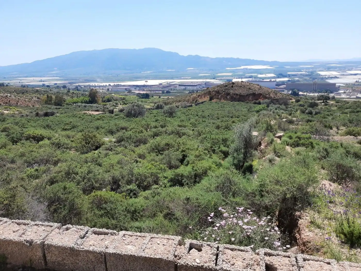 Terreny residencial en venda a Alhama de Murcia ciudad, imagen 2