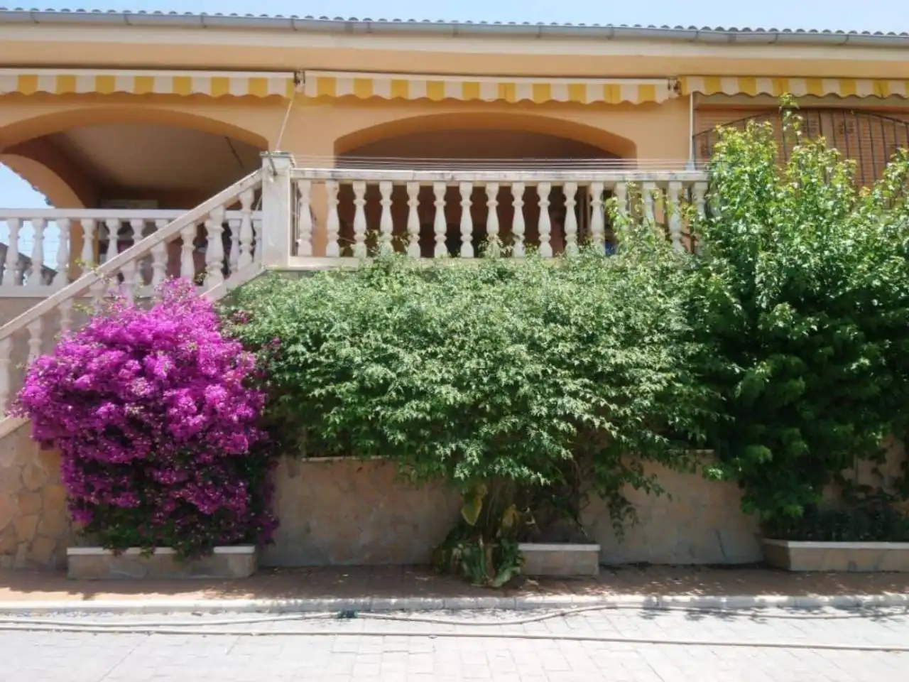 Jardín de Casa o chalet en venta en Benillup