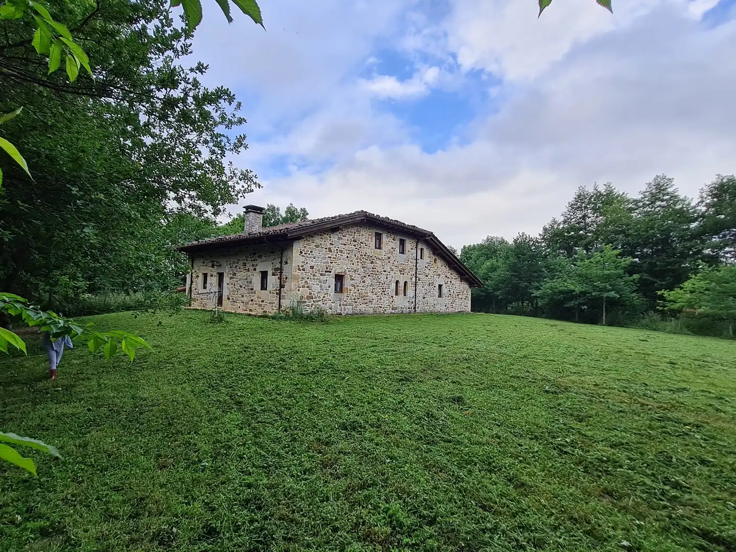 Exterior view of Detached homes for sale in Aramaio