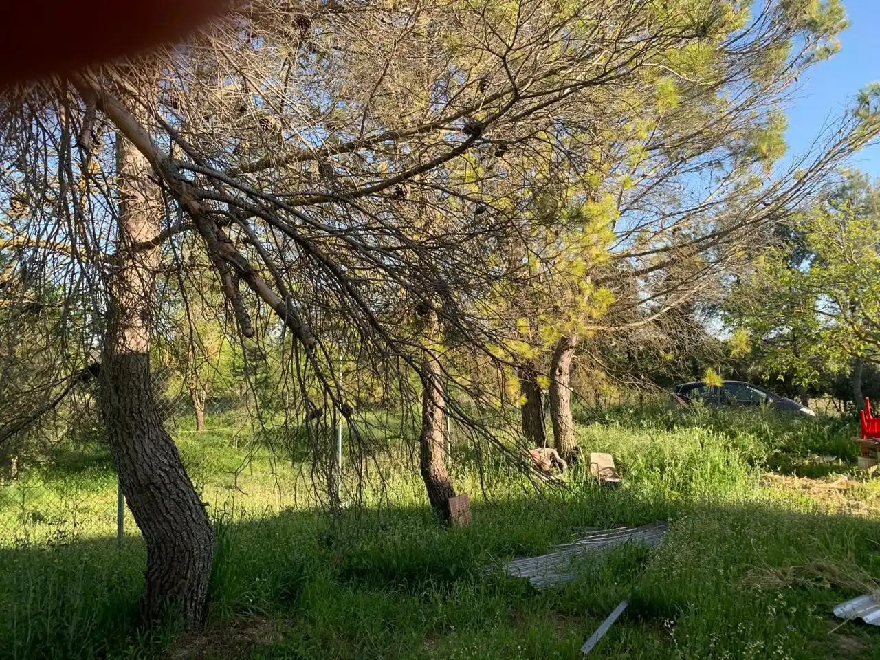 Terreni e lotti in vendita a Carrascosa, imagen 15