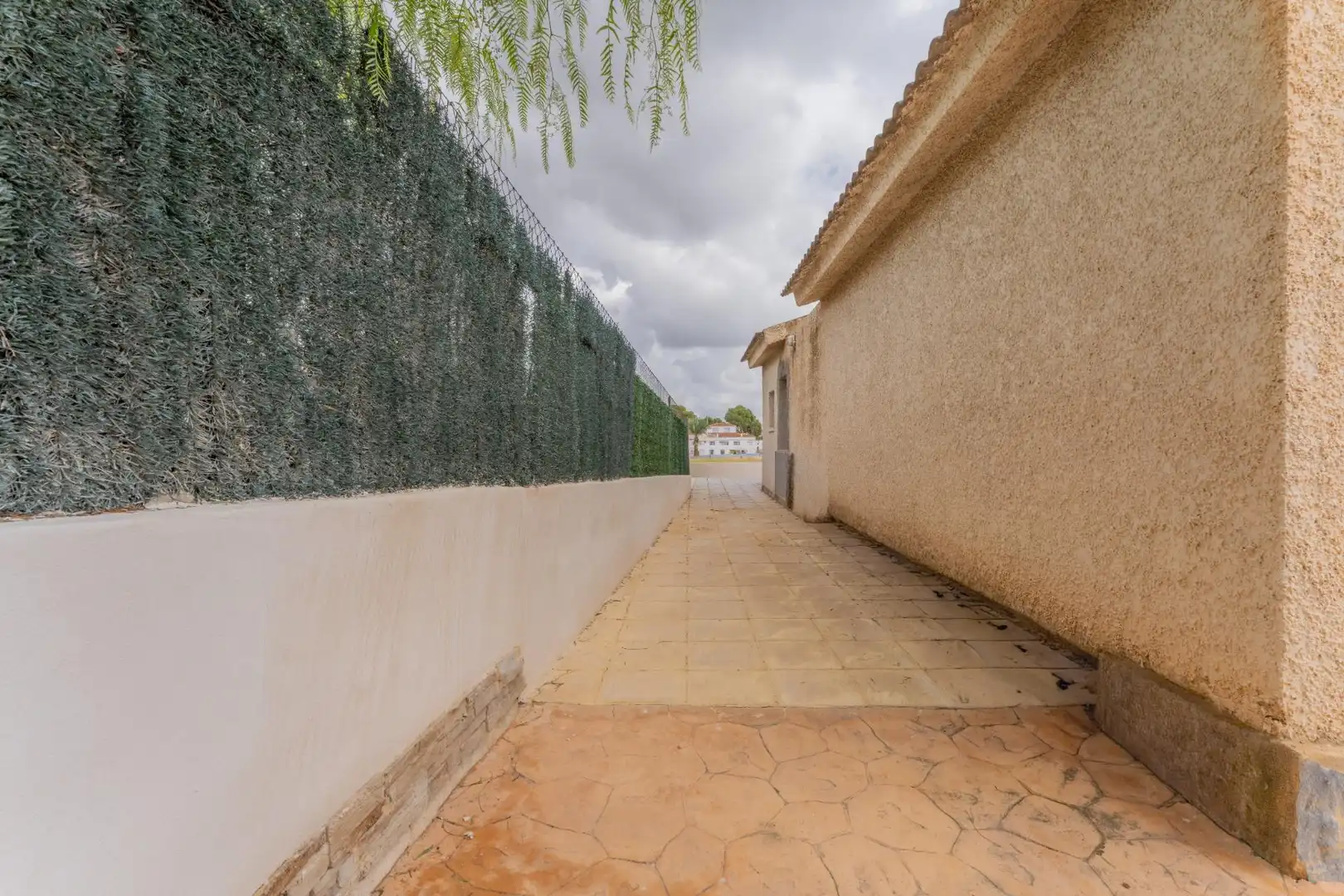 Vista exterior de Casa o xalet en venda en Albatera amb Jardí privat i Piscina
