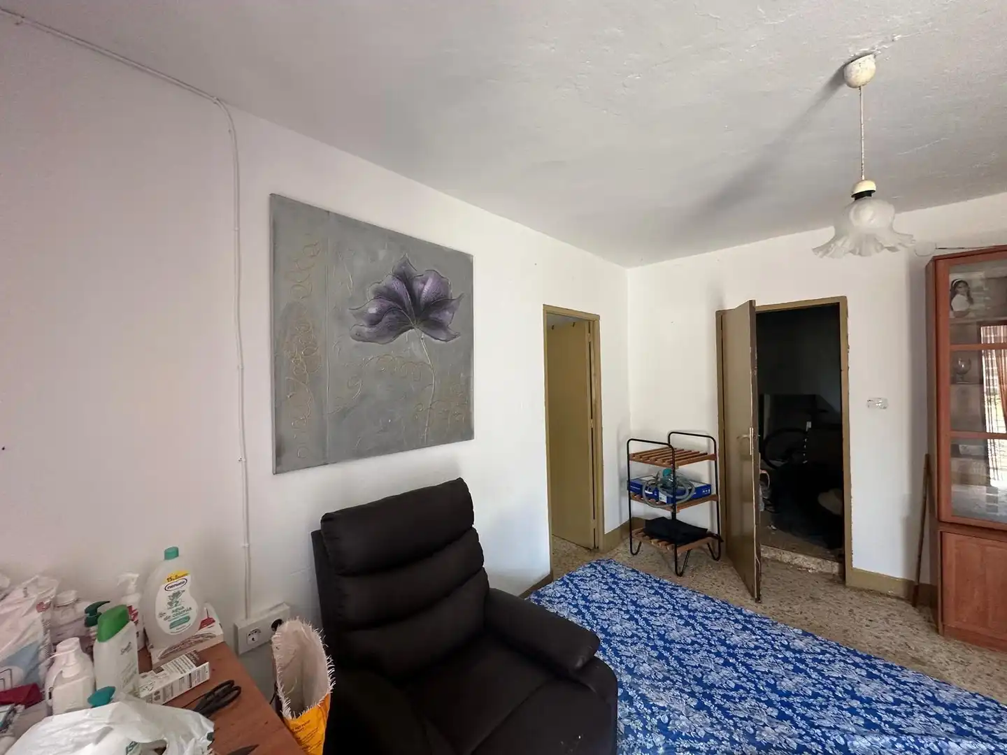 Sala d'estar de Finca rústica en venda en Conil de la Frontera