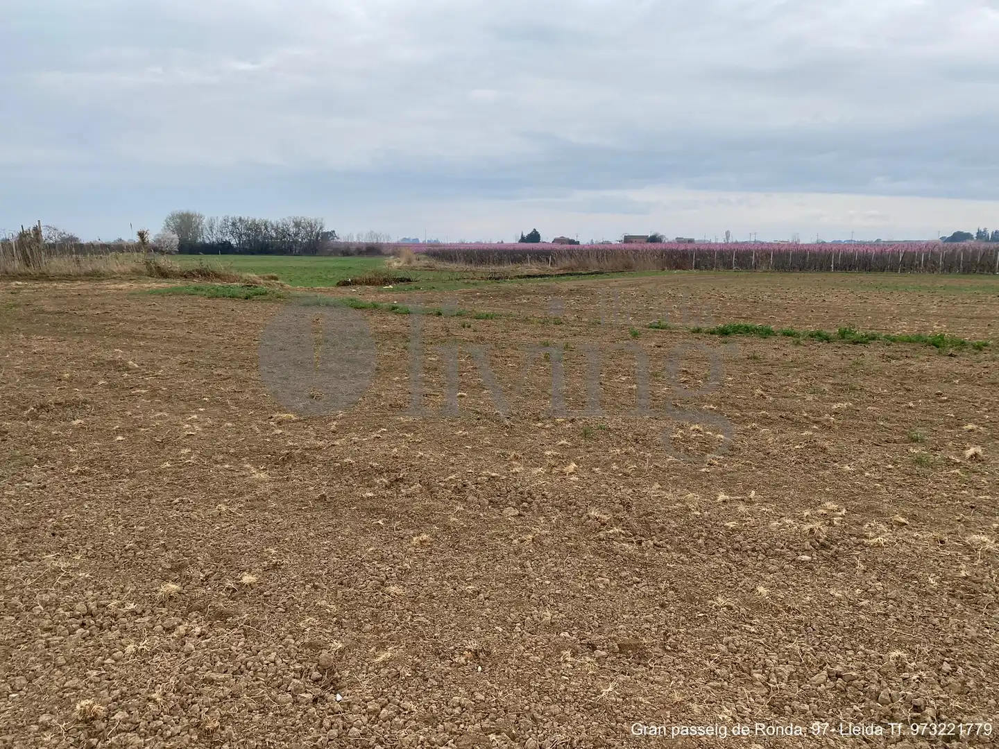 Rural land for sale in Partida Torres de Sanui, imagen 9