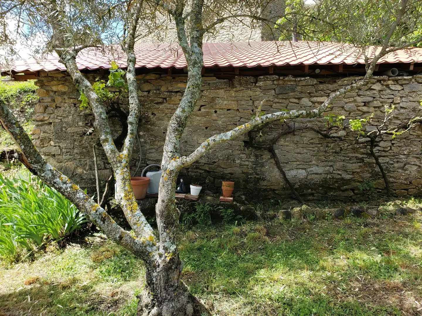 Garden of Houses for sale in Bierge  with Heating, Private garden and Storage room