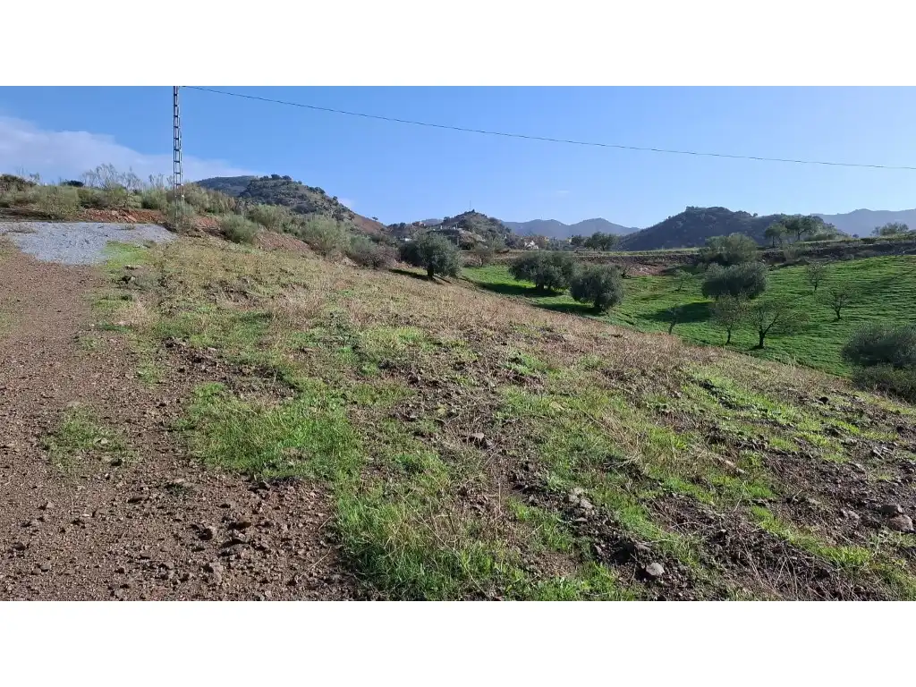 Terrenos y solares en venta en Almogía, imagen 3
