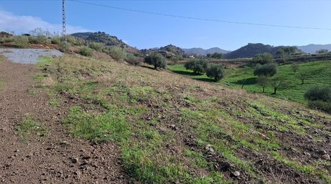 Se Vende Finca con 3 Parcelas juntas en Almogía, Málaga, imatge 3