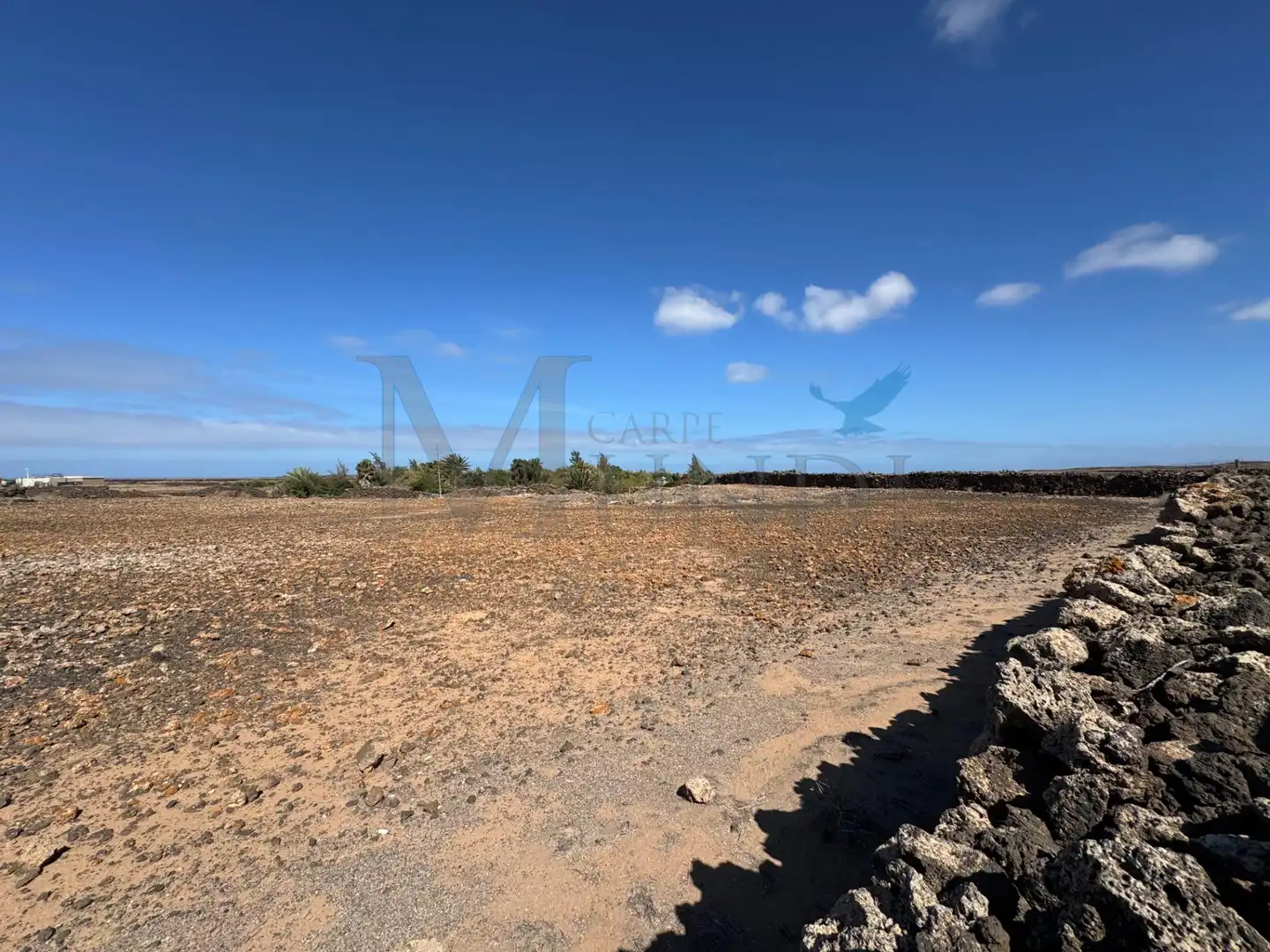 Land for sale in La Oliva