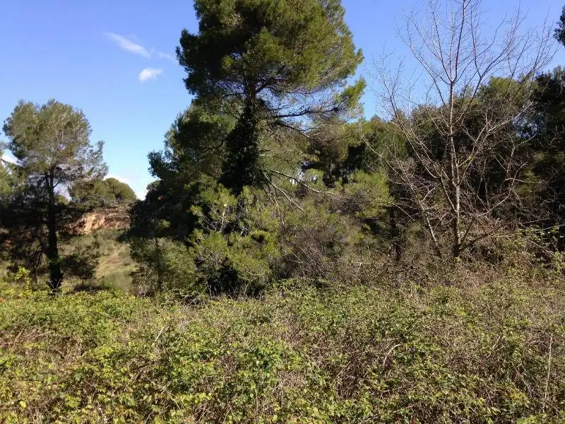 Terreno residencial en venta en Carrer Cirerer, imagen 2