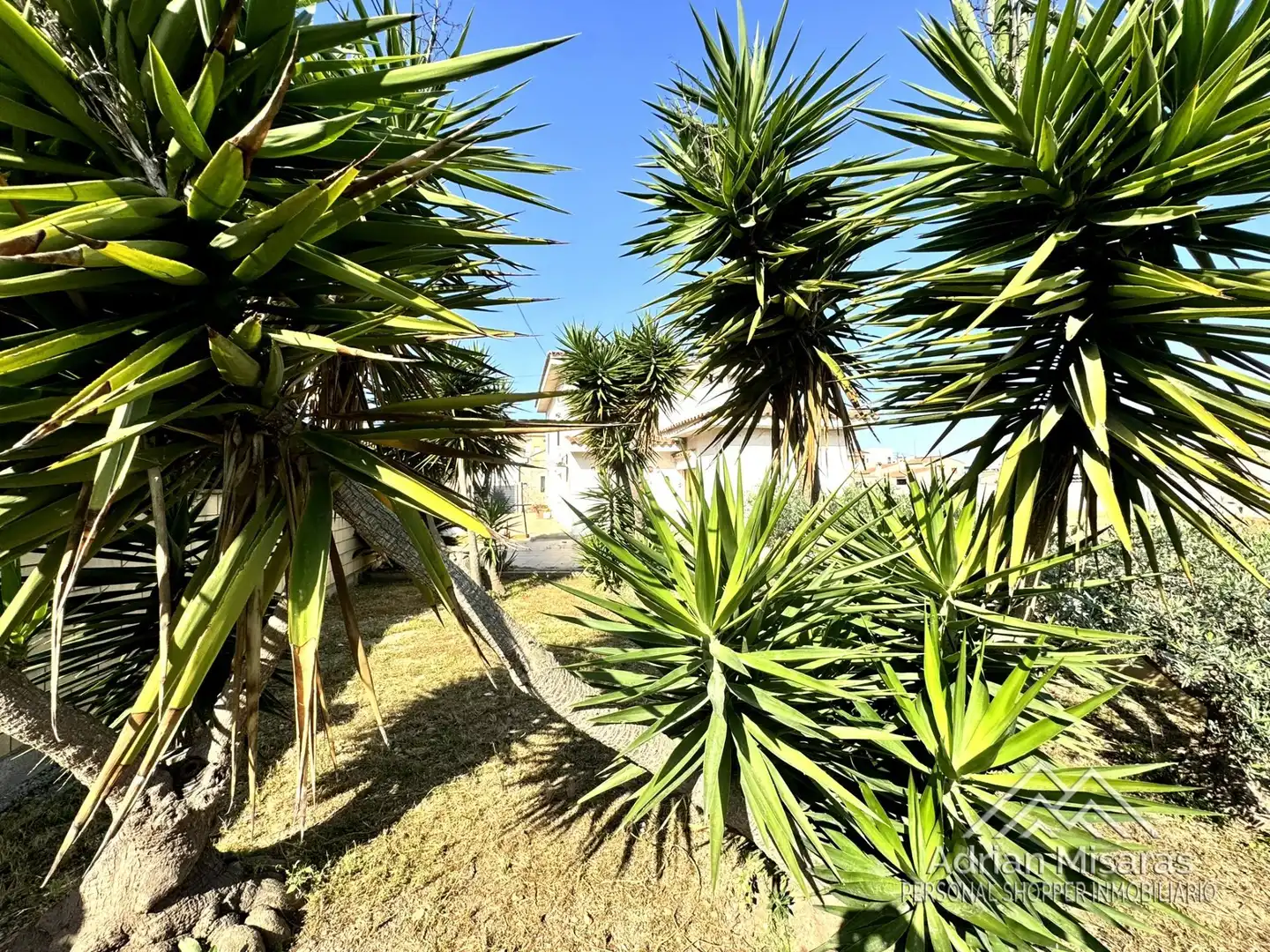 Country homes for sale in San Isidre, 1, Deltebre