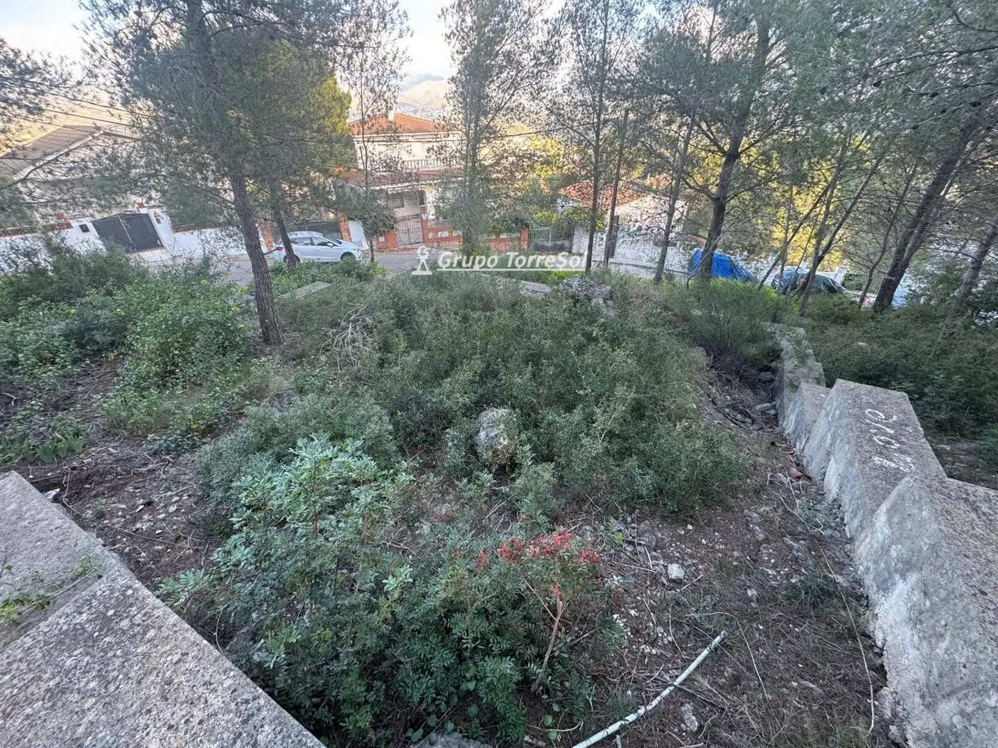 Rural land for sale in Carrer del Ter, 113, imagen 6