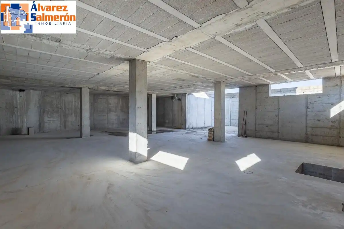 Villa con piscina in vendita a Paseo Paseo del Agua, 35, imagen 13