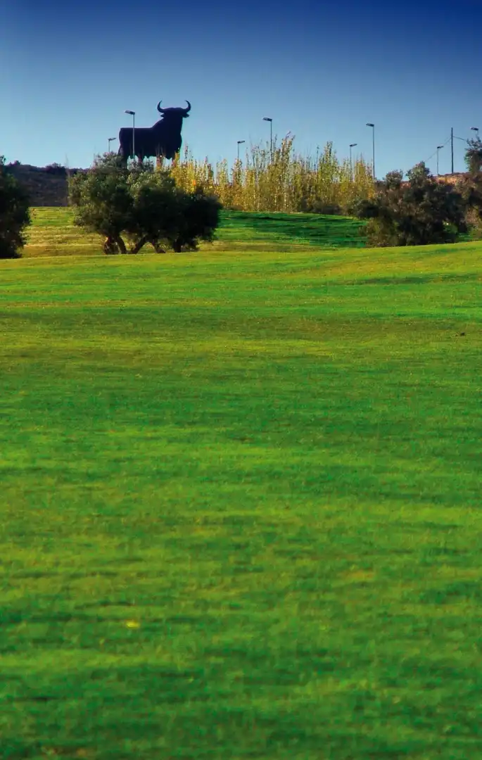 Planta baixa en venda en Monforte del Cid amb Aire condicionat, Calefacció i Terrassa