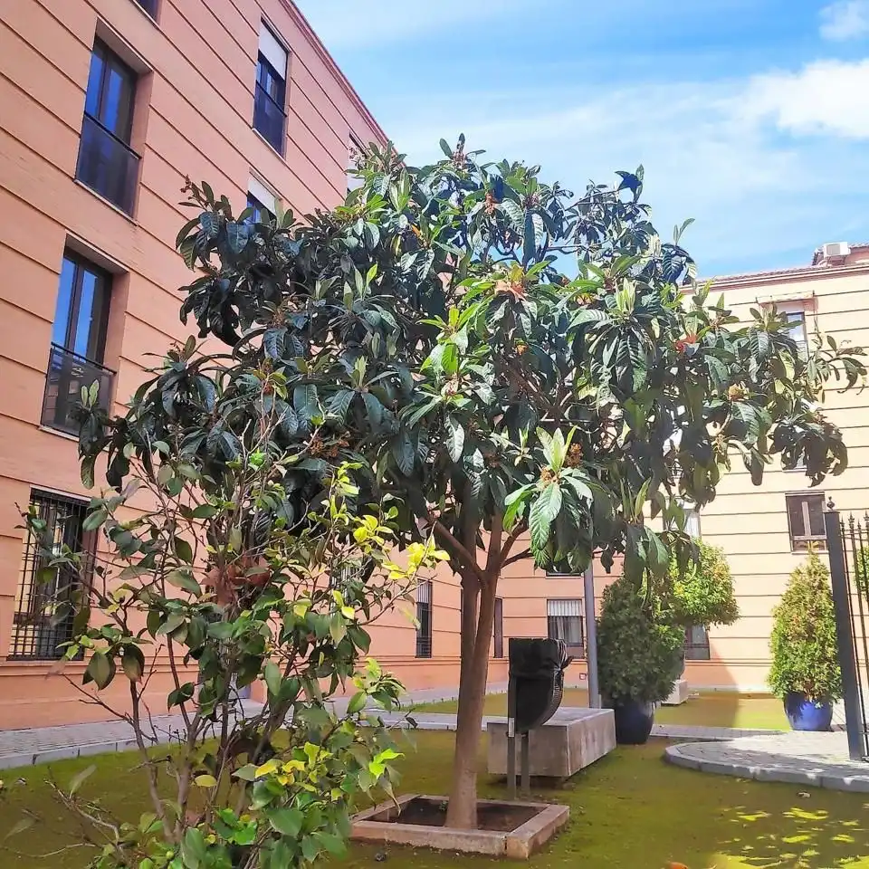 Garden of Flat for rent in Granada  with Air Conditioner, Heating and Furnished