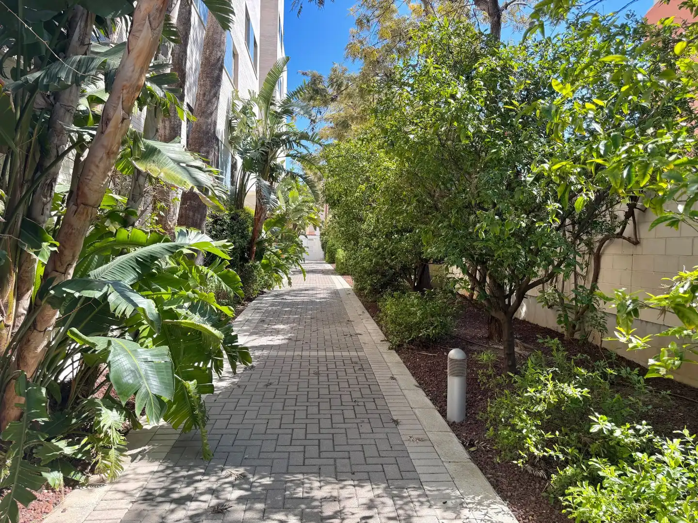 Mini appartamento con piscina in vendita a Las Marinas / Les Marines, imagen 25