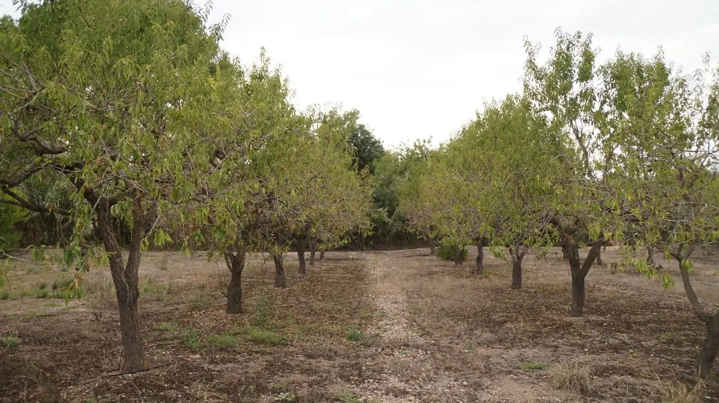 Finca rústica en venda en Valls amb Calefacció, Jardí privat i Terrassa