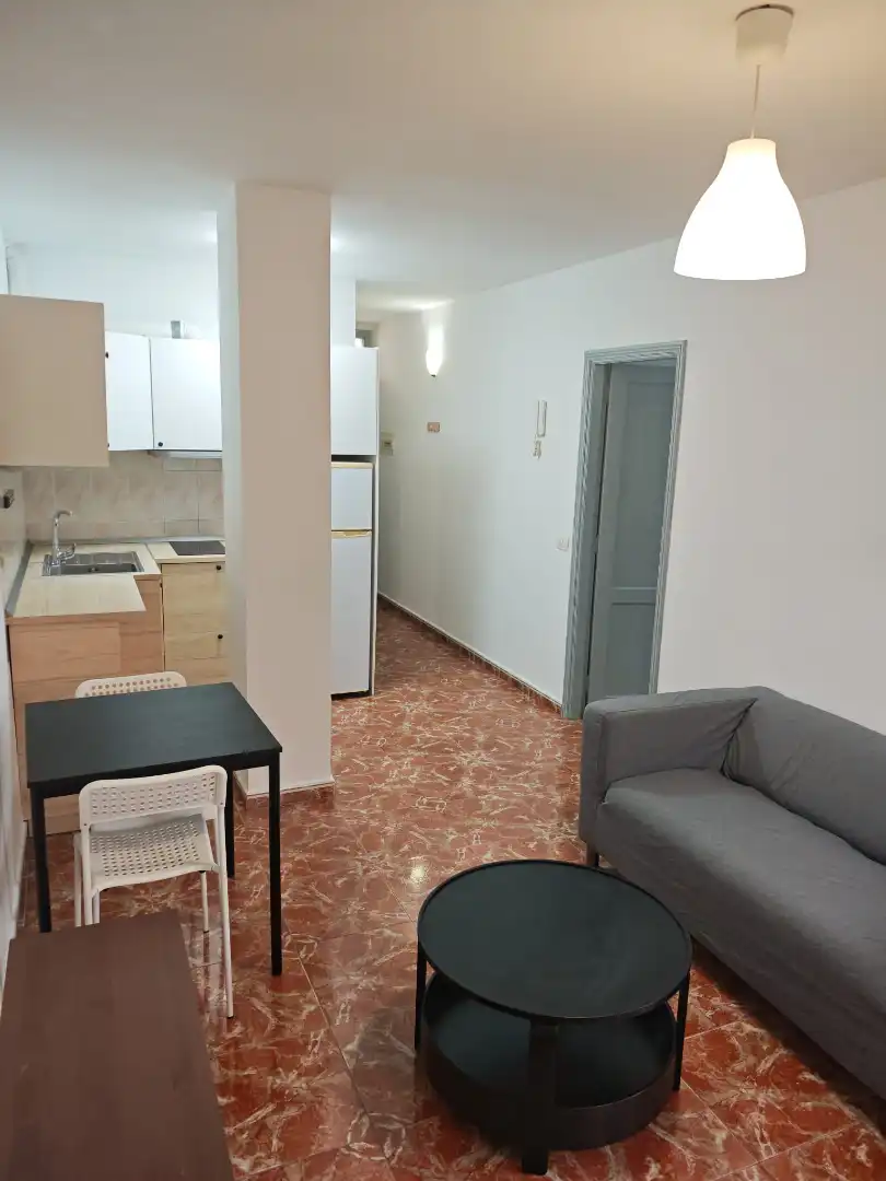 Sala d'estar de Pis de lloguer en Arona amb Moblat, Rentadora i Balcó