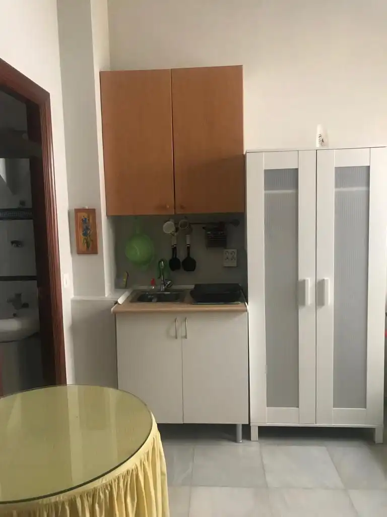 Studio to rent in Casco Antiguo, imagen 6