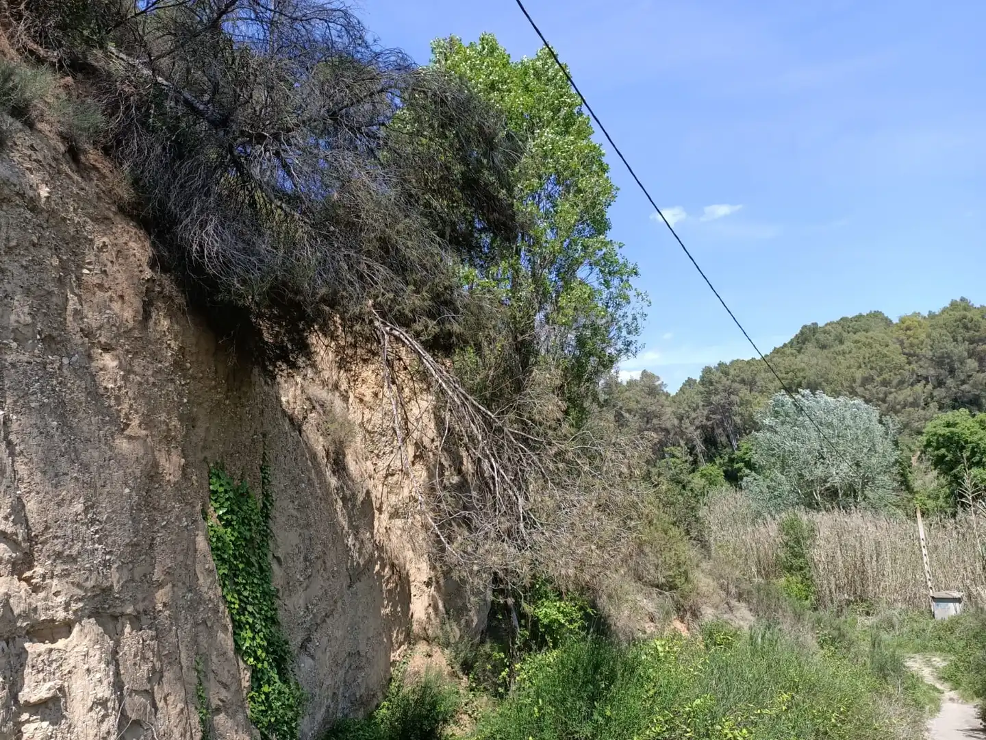 Terreno en venta en PINEDA, Masquefa