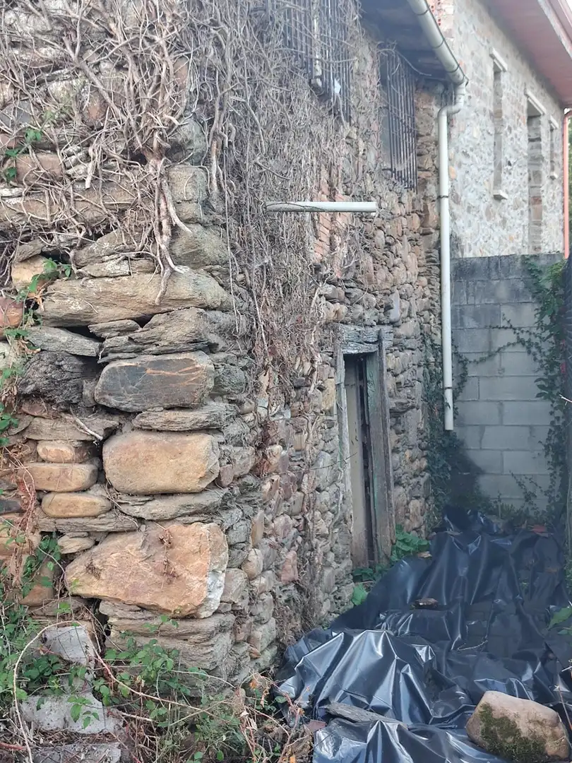 Vista exterior de Finca rústica en venda en Monforte de Lemos