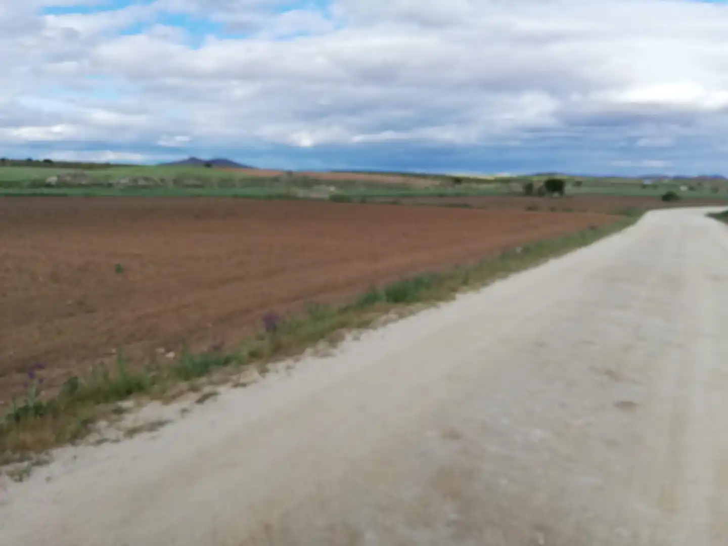 Terreny rústic en venda a Orgaz