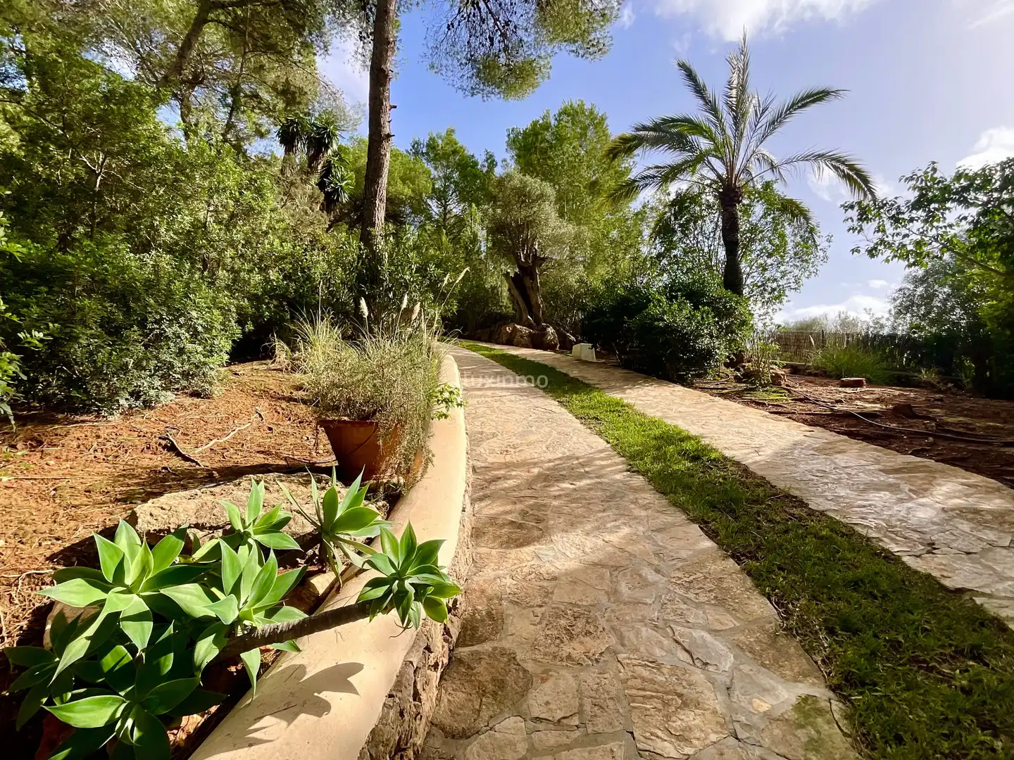 Chalet con terraza en venta en Santa Eulària, imagen 21