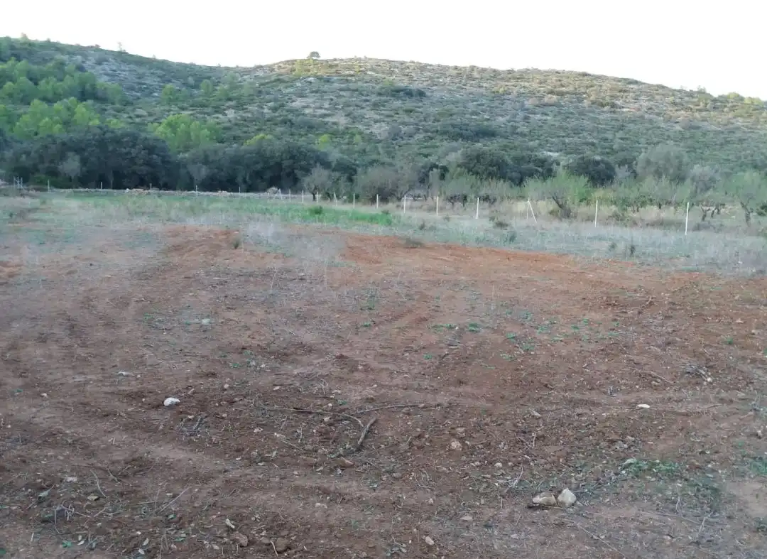 Casa rústica en venda a Alcalalí, imagen 14