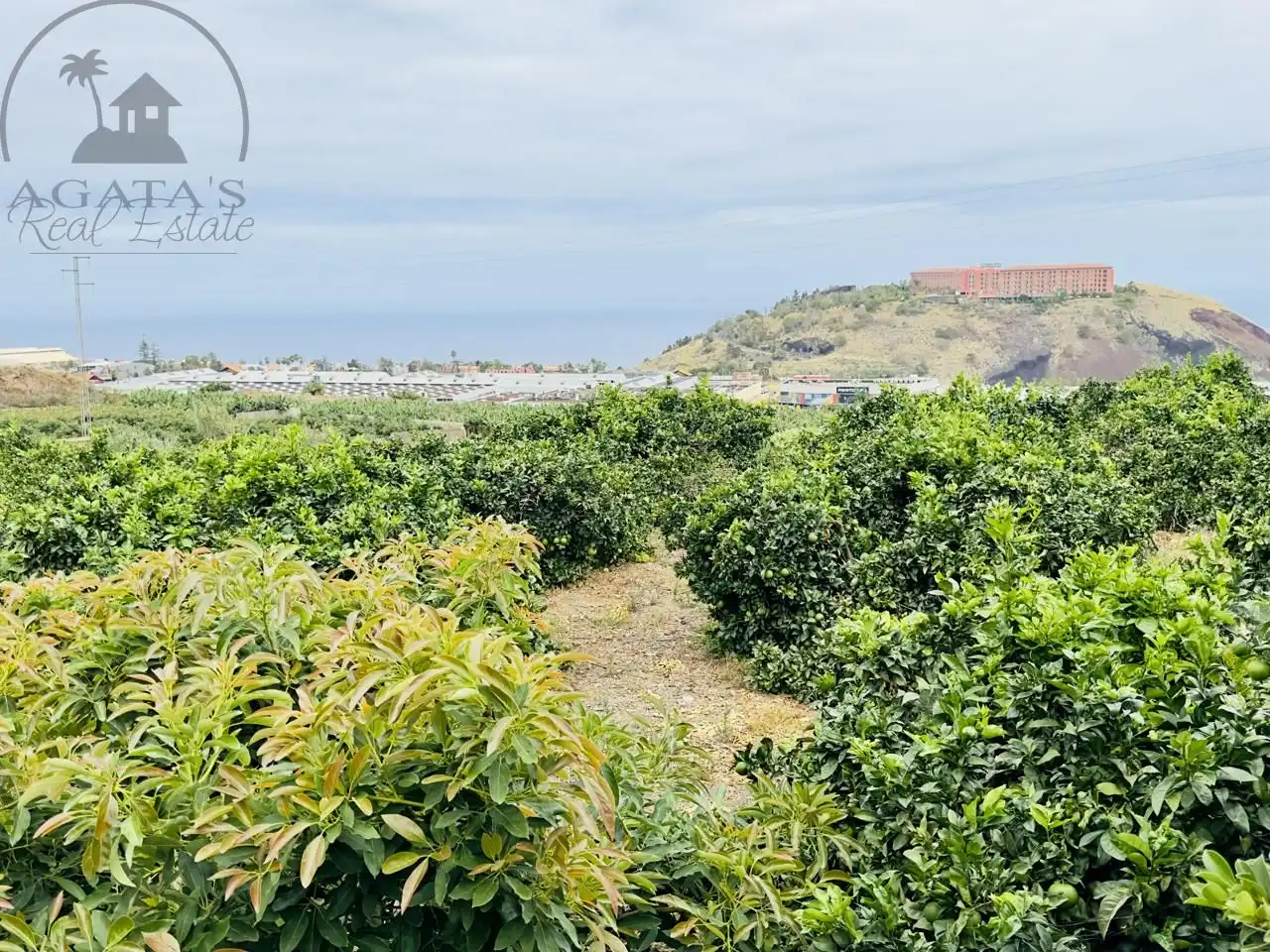 Finca rústica en venta en La Orotava con Jardín privado y Terraza