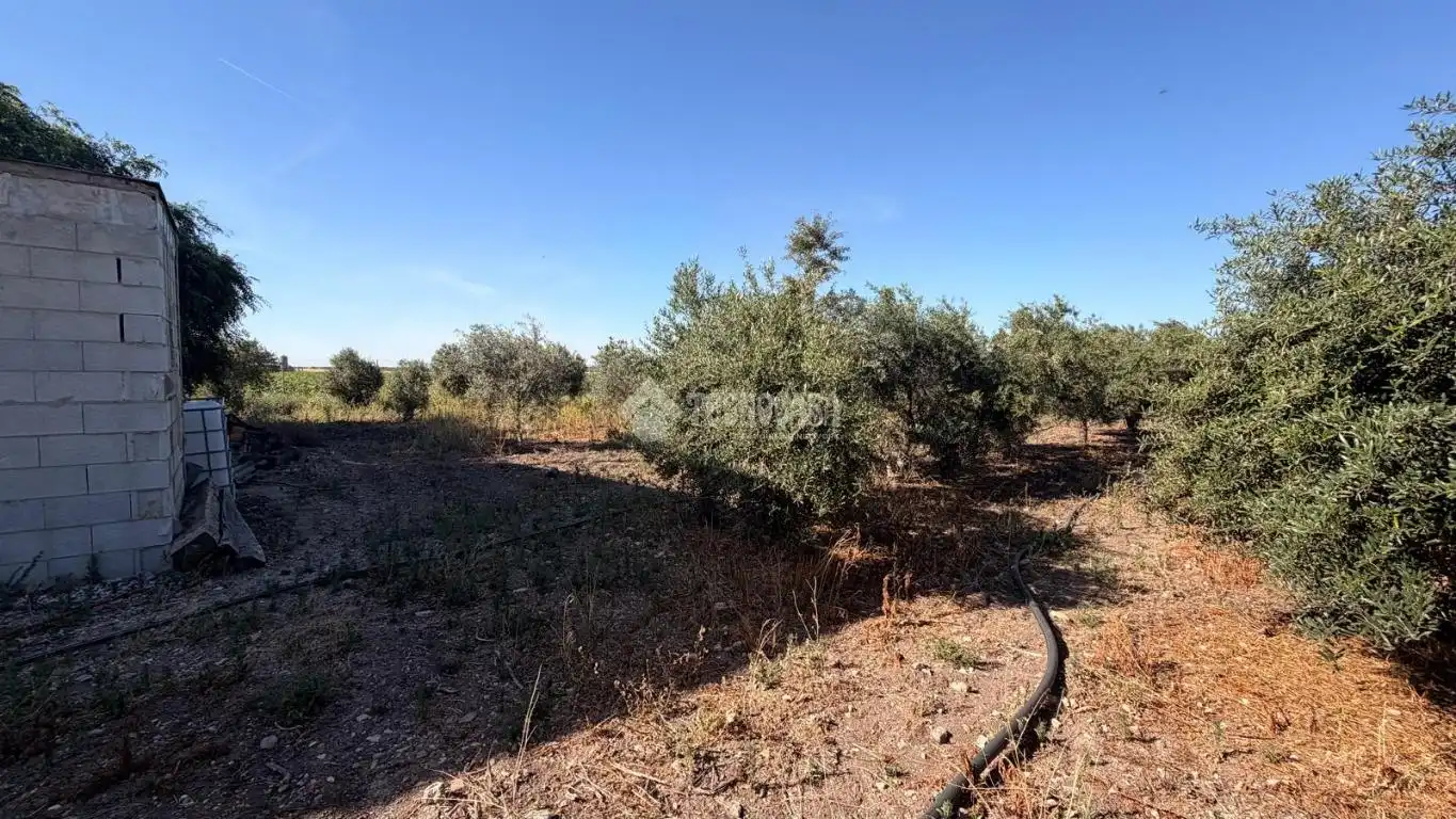 Terreno en venta en Paraje los los llanos, La Lantejuela