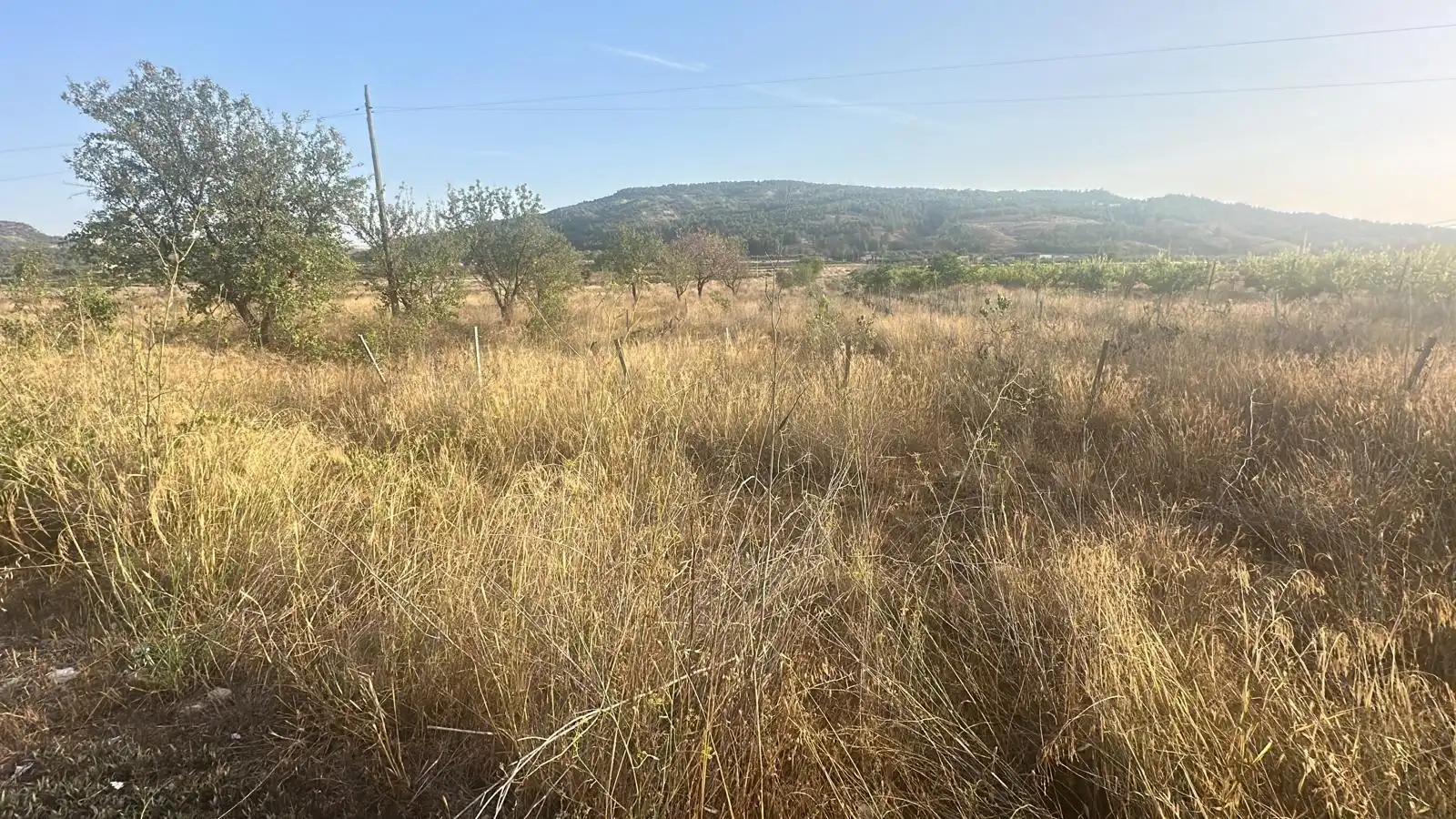 Wohnbaugrundstück zum Verkauf in El Pinós / Pinoso, imagen 2