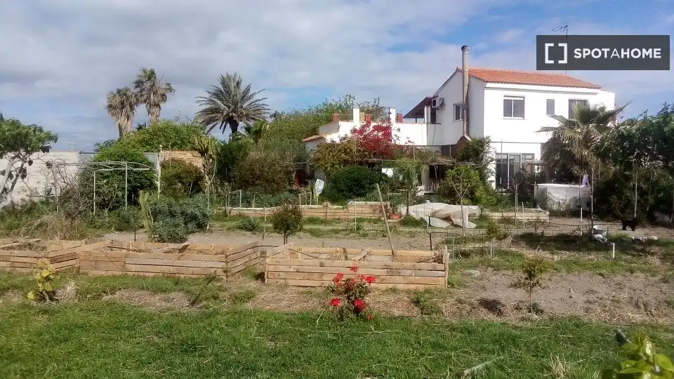 Jardí de Estudi per a compartir en Valencia amb Aire condicionat, Terrassa i Moblat