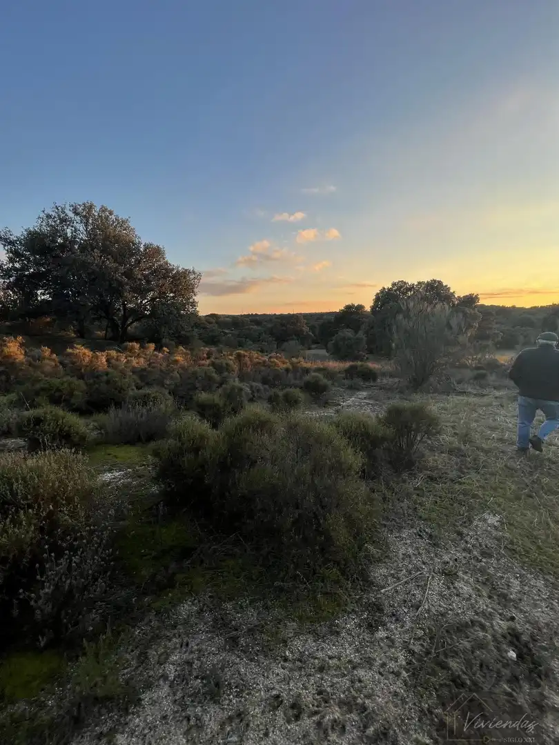Finca rústica en venda en Brunete