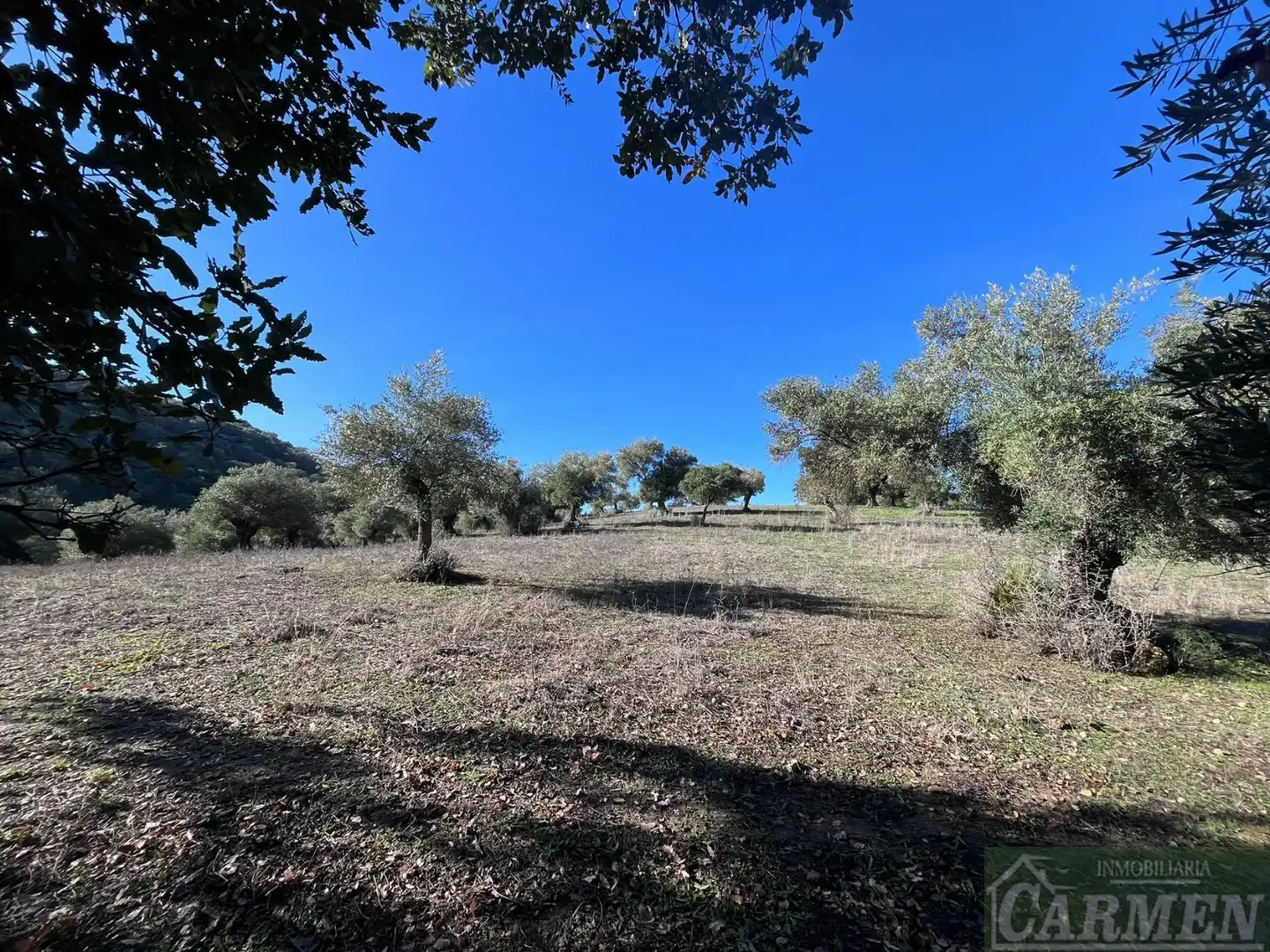 Finca rústica en venda en El Bosque