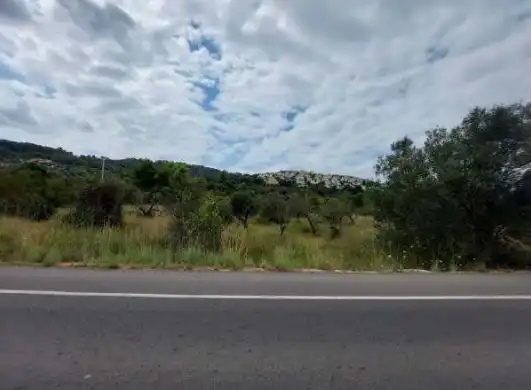 Land for sale in Orba