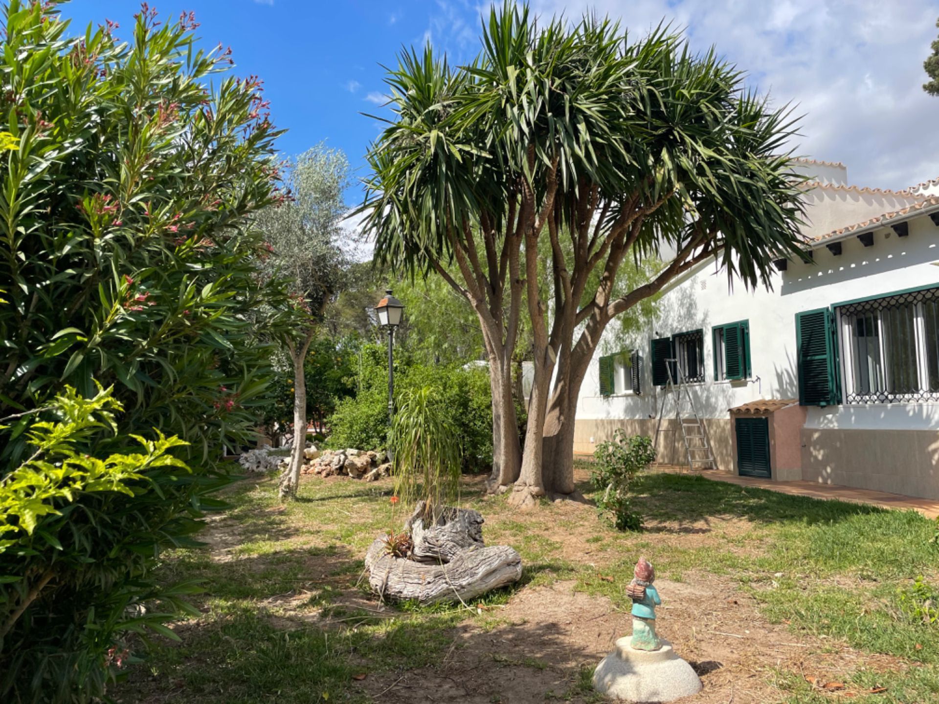 Jardí de Casa o xalet en venda en  Palma de Mallorca amb Aire condicionat, Jardí privat i Terrassa