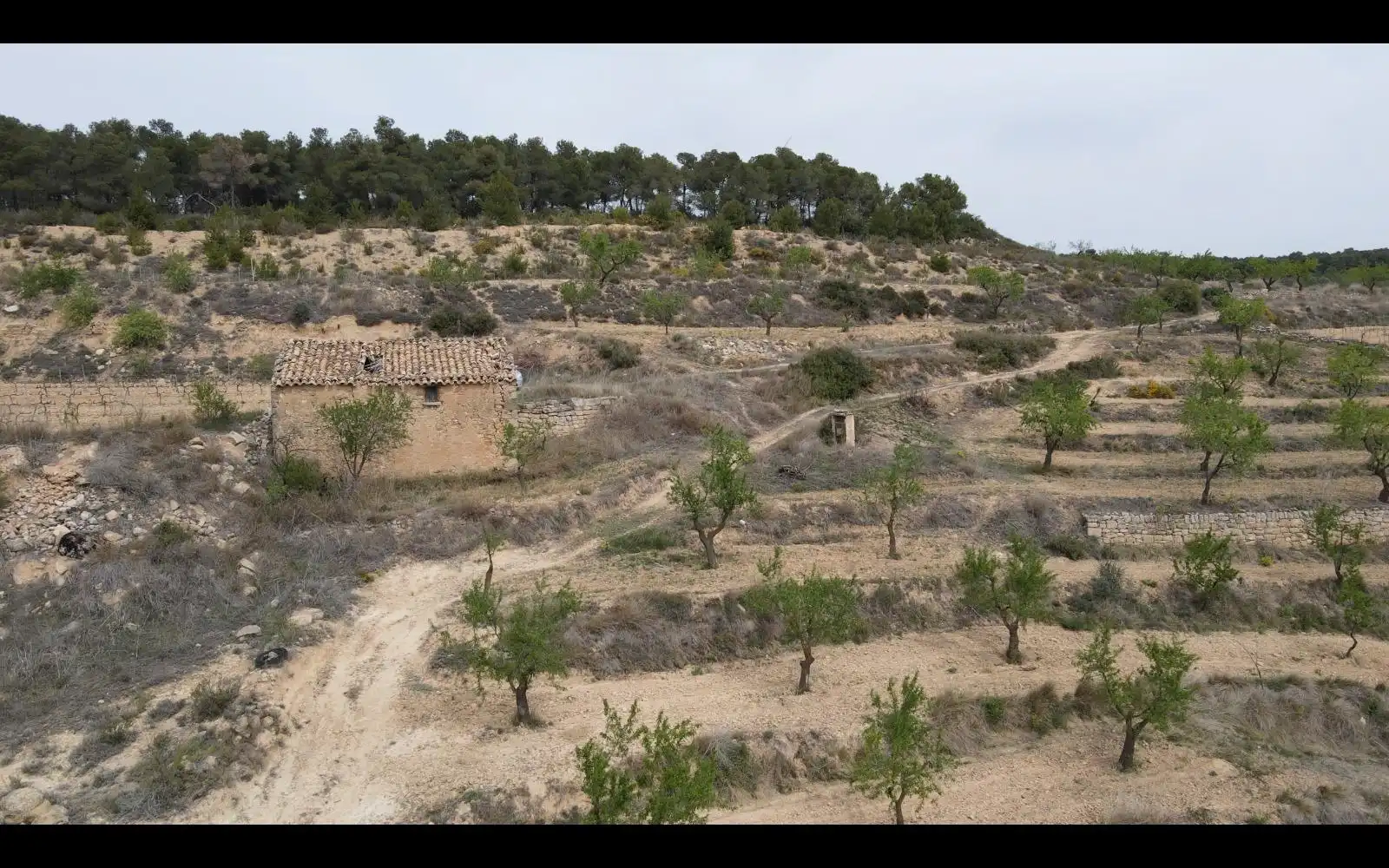 Terreny rústic en venda a Caseres, imagen 3