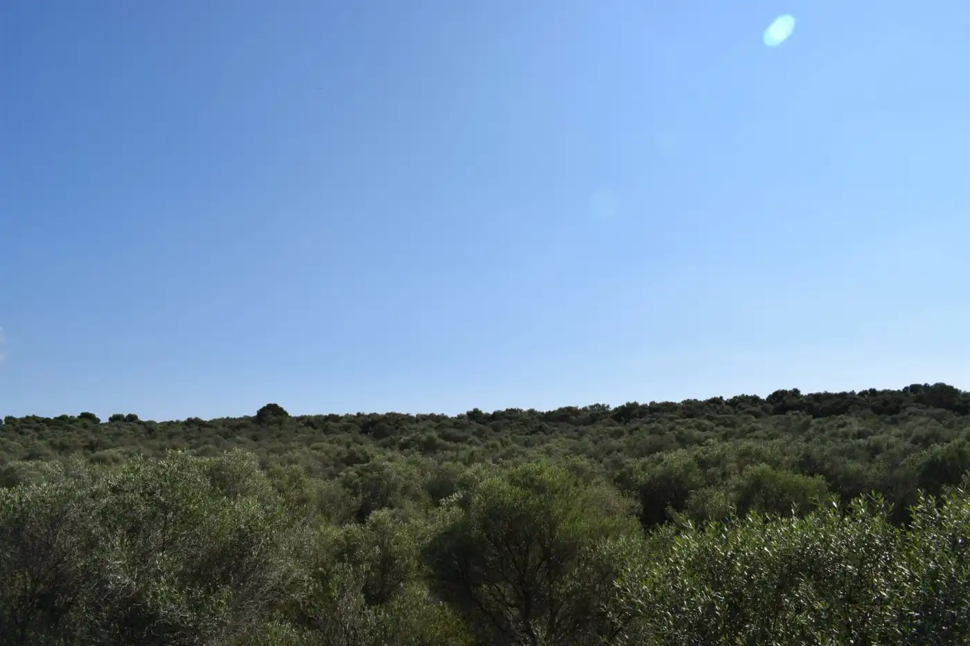 Casa o chalet en venta en Campos con Calefacción, Terraza y Trastero