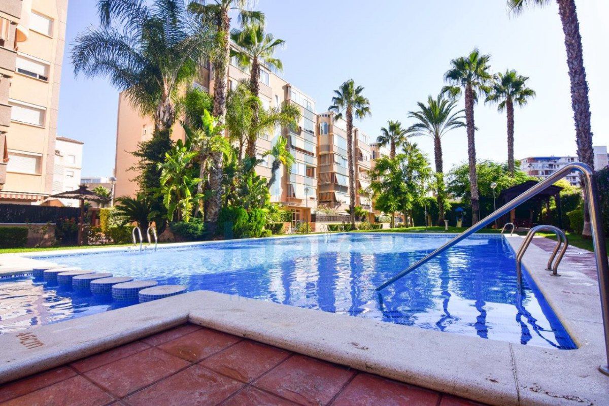 Swimming pool of Flat to rent in Alicante / Alacant  with Air Conditioner, Heating and Furnished