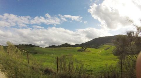 Foto 5 de Finca rústica en venda a Villanueva de San Juan, Sevilla