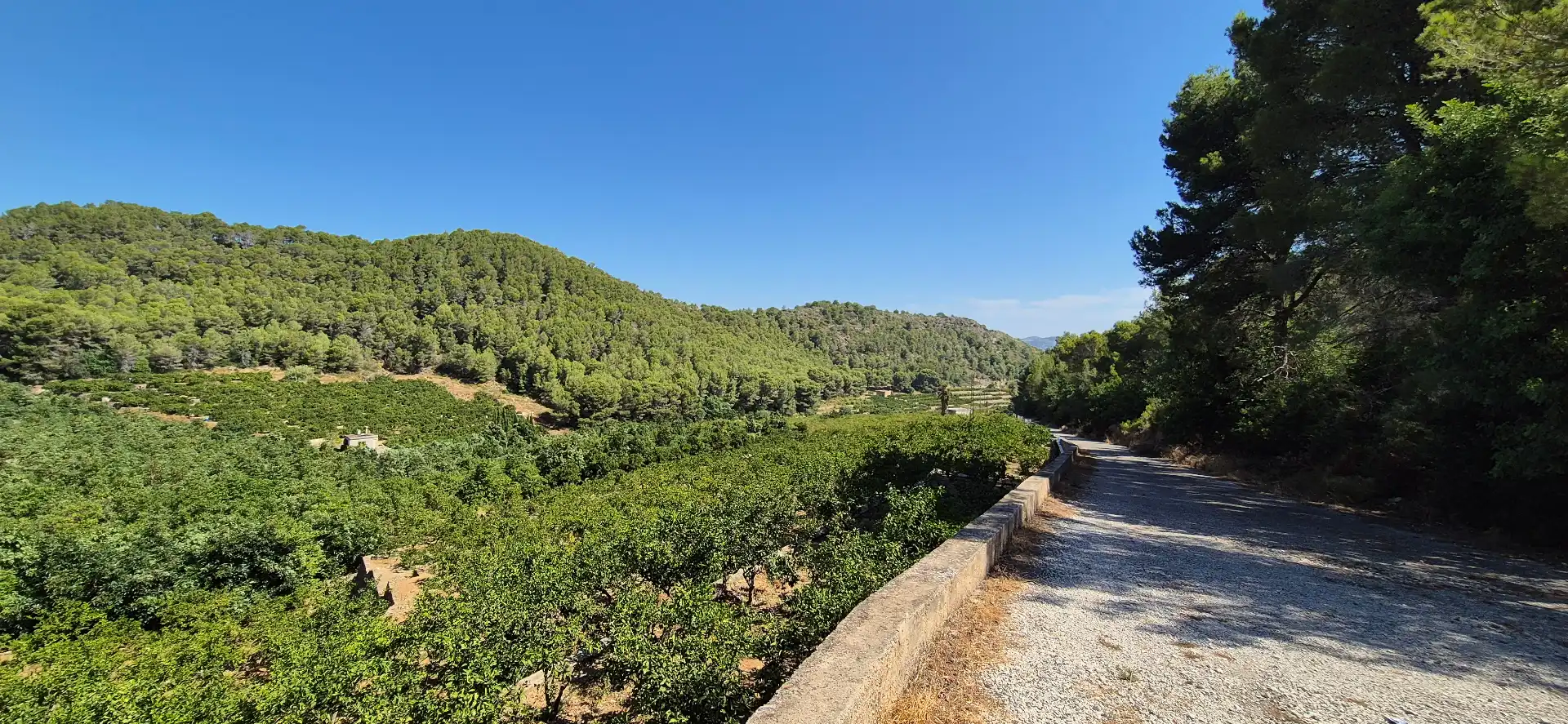 Vista exterior de Finca rústica en venta en Favara con Calefacción, Jardín privado y Terraza