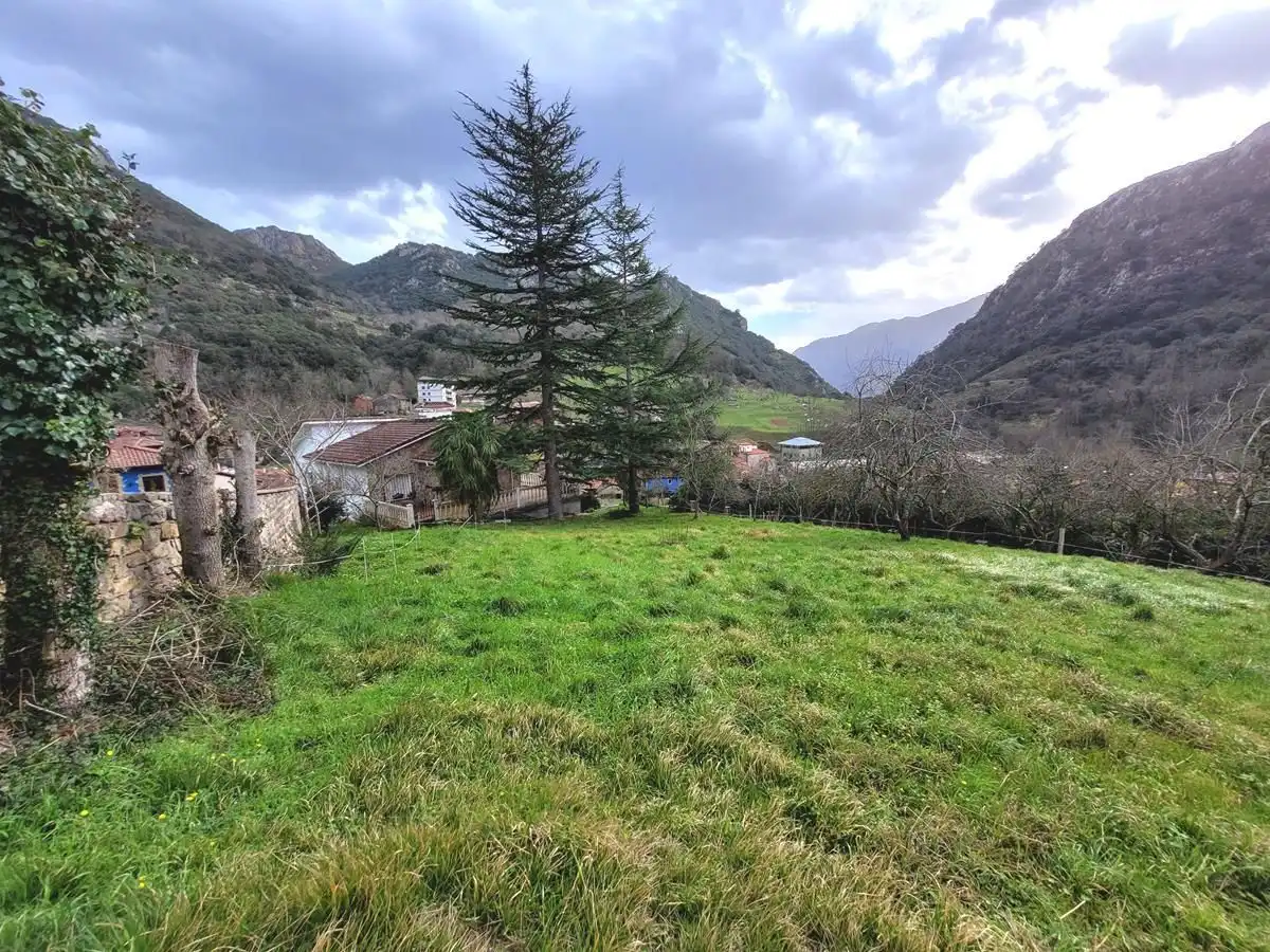 Casa amb jardí en venda a Cabrales, imagen 9