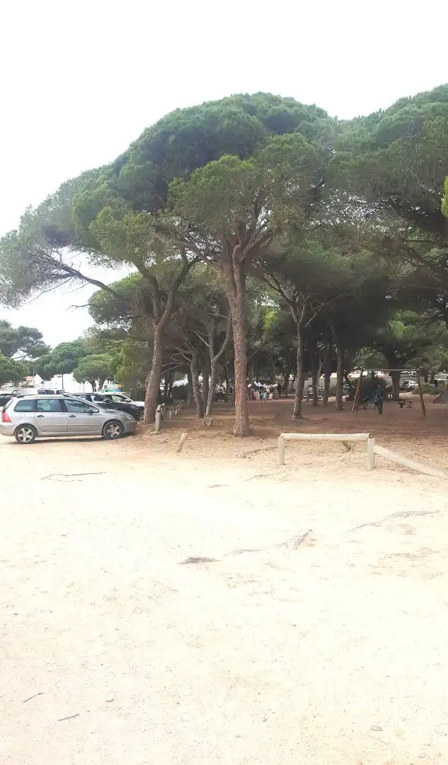Parking of Houses for sale in Chiclana de la Frontera  with Private garden, Terrace and Furnished
