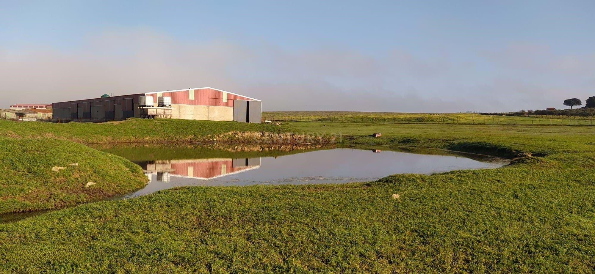 Exterior view of Country house for sale in Brozas