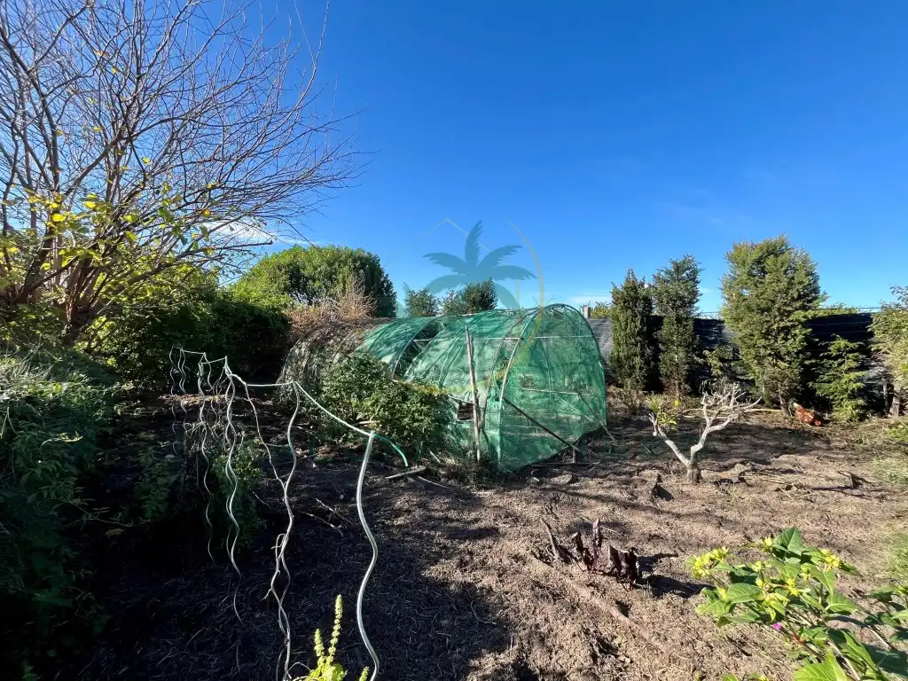 Garden of Houses for sale in Cullera