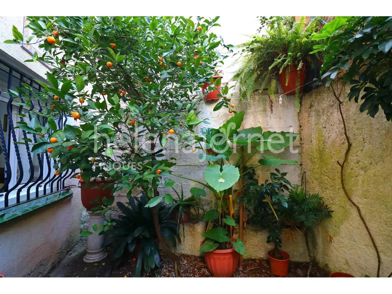 Jardín de Piso en venta en Sant Feliu de Guíxols con Calefacción y Alarma