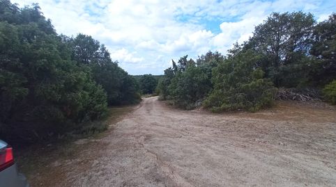 FINCA RUSTICA PARCIALMENTE PROTEGIDA . PRINCIPALMENTE MONTE. PARA CAZA, imatge 2