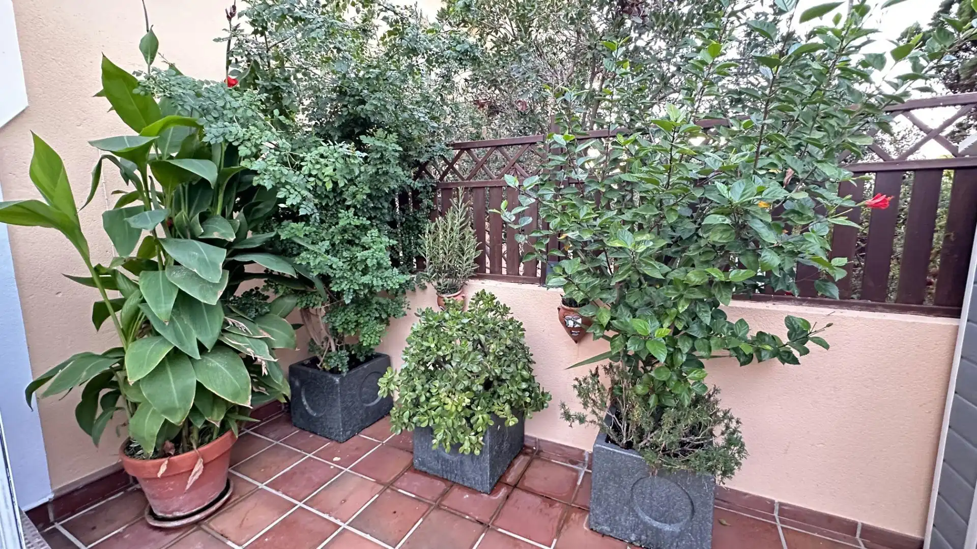 Terraza de Casa o chalet en venta en Mazagón con Aire acondicionado, Calefacción y Jardín privado
