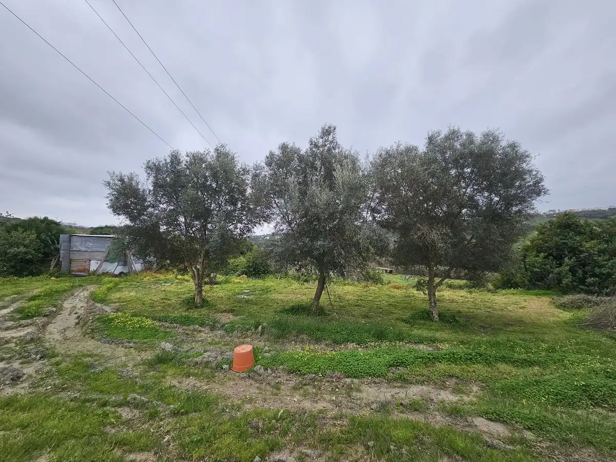 Maison à vendre à Manilva Pueblo, imagen 5