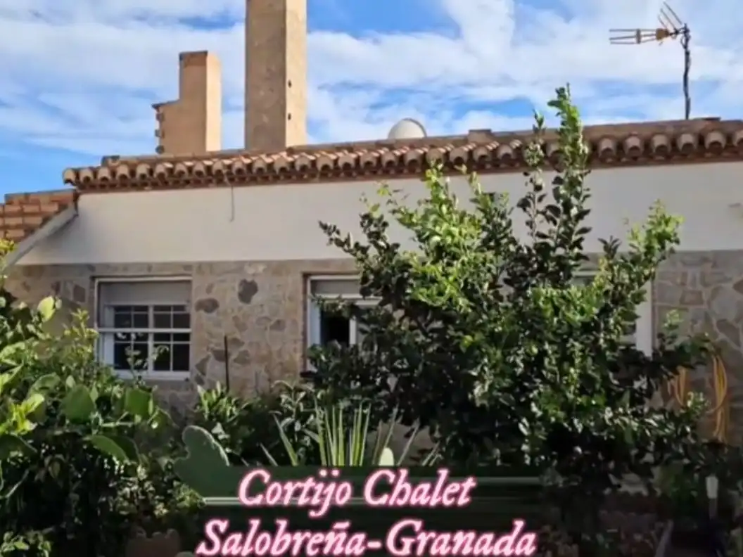 Xalet amb jardí en venda a Avenida del Mediterraneo 12, imagen 18