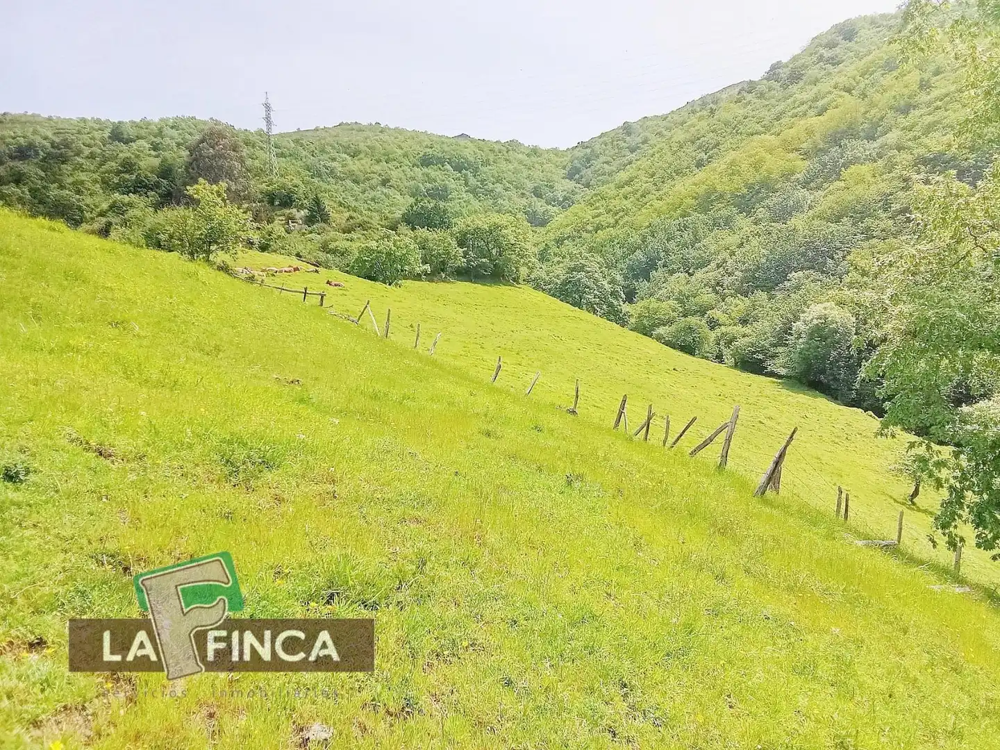 Residencial en venta en Lena